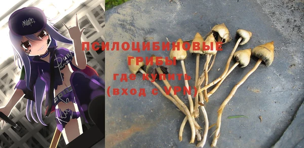 ALPHA PVP Заводоуковск