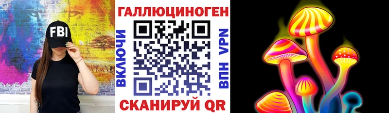 Купить  Раменское  Псилоцибиновые грибы Cubensis 