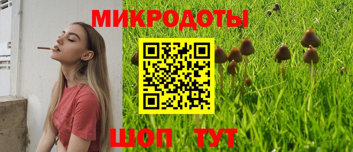 A PVP Раменское