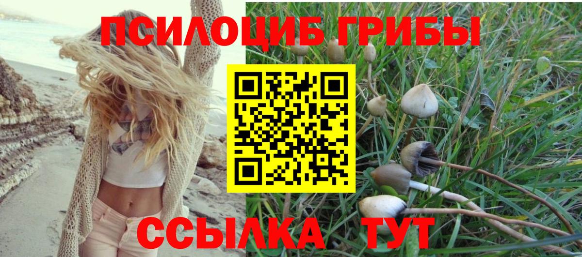Псилоцибиновые грибы прущие грибы  Раменское  Галлюциногенные грибы мицелий 